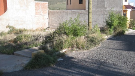 Proyecto 6: Saneamiento de espacios públicos